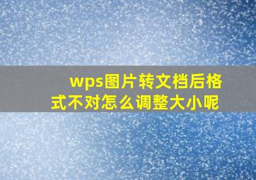 wps图片转文档后格式不对怎么调整大小呢