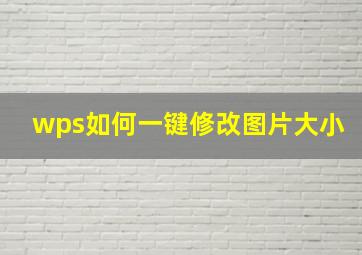 wps如何一键修改图片大小