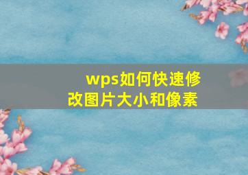 wps如何快速修改图片大小和像素