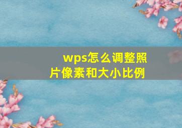 wps怎么调整照片像素和大小比例