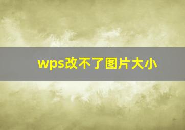 wps改不了图片大小