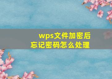 wps文件加密后忘记密码怎么处理