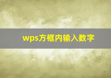 wps方框内输入数字