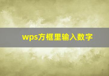 wps方框里输入数字