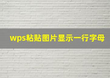 wps粘贴图片显示一行字母