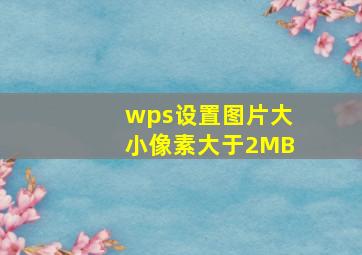 wps设置图片大小像素大于2MB