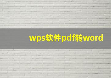 wps软件pdf转word