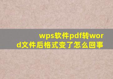 wps软件pdf转word文件后格式变了怎么回事