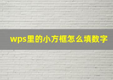 wps里的小方框怎么填数字