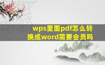 wps里面pdf怎么转换成word需要会员吗