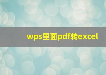 wps里面pdf转excel