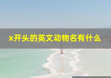 x开头的英文动物名有什么