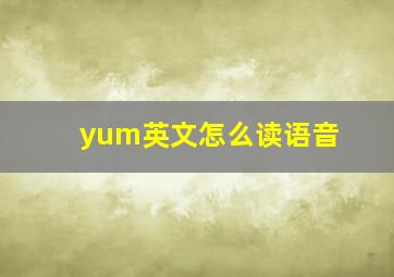 yum英文怎么读语音