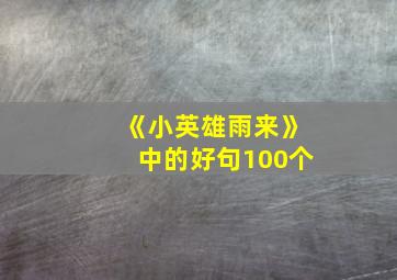 《小英雄雨来》中的好句100个