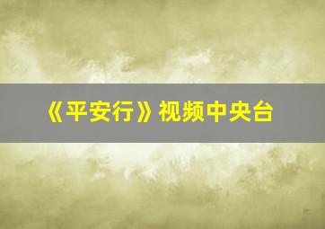 《平安行》视频中央台