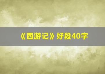 《西游记》好段40字