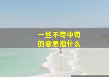 一丝不苟中苟的意思指什么