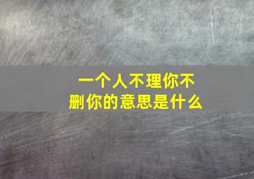 一个人不理你不删你的意思是什么