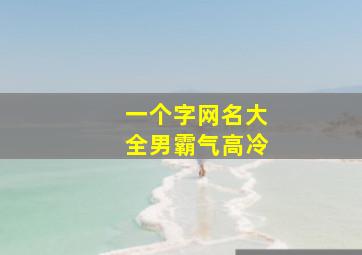 一个字网名大全男霸气高冷