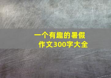 一个有趣的暑假作文300字大全