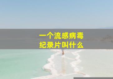 一个流感病毒纪录片叫什么