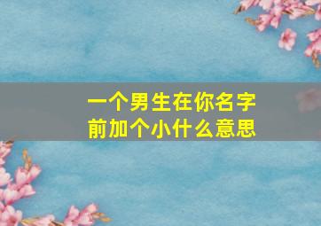 一个男生在你名字前加个小什么意思