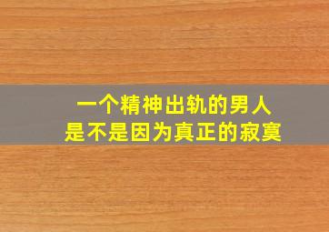 一个精神出轨的男人是不是因为真正的寂寞