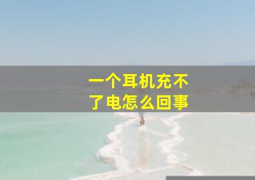 一个耳机充不了电怎么回事