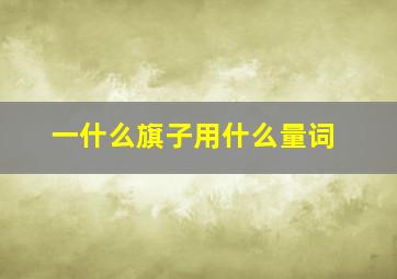 一什么旗子用什么量词