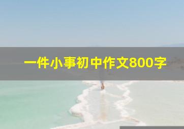 一件小事初中作文800字