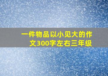 一件物品以小见大的作文300字左右三年级