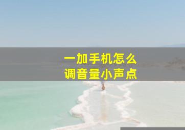 一加手机怎么调音量小声点