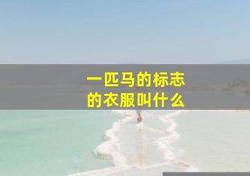 一匹马的标志的衣服叫什么