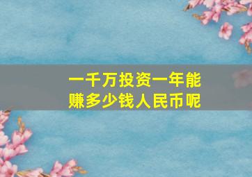 一千万投资一年能赚多少钱人民币呢