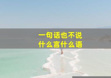 一句话也不说什么言什么语