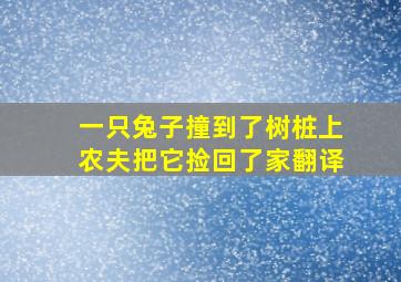 一只兔子撞到了树桩上农夫把它捡回了家翻译