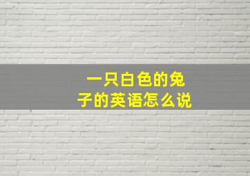 一只白色的兔子的英语怎么说