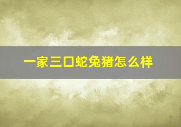 一家三口蛇兔猪怎么样