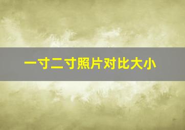 一寸二寸照片对比大小