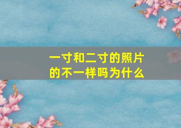 一寸和二寸的照片的不一样吗为什么