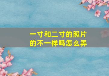 一寸和二寸的照片的不一样吗怎么弄