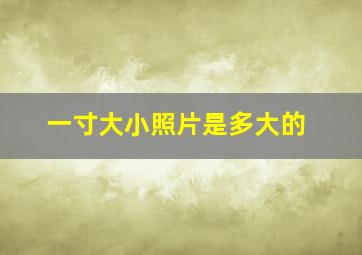 一寸大小照片是多大的