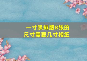 一寸照排版8张的尺寸需要几寸相纸