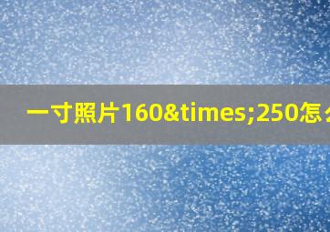 一寸照片160×250怎么调