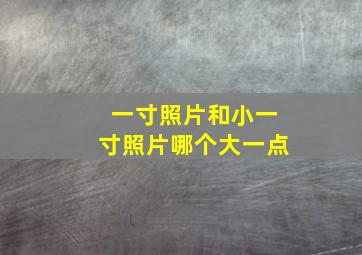 一寸照片和小一寸照片哪个大一点