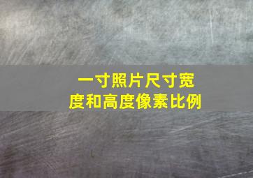 一寸照片尺寸宽度和高度像素比例