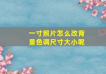 一寸照片怎么改背景色调尺寸大小呢