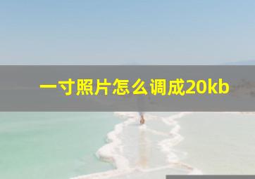 一寸照片怎么调成20kb