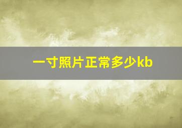 一寸照片正常多少kb