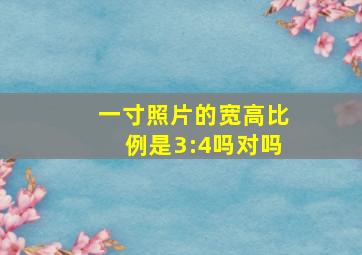 一寸照片的宽高比例是3:4吗对吗